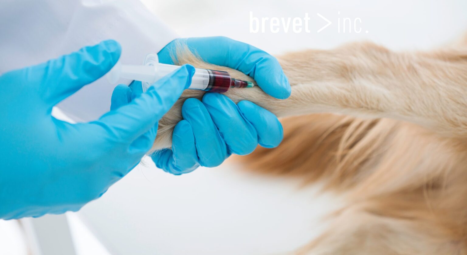 Advancing PVC Materials for Future Driven Veterinary Care