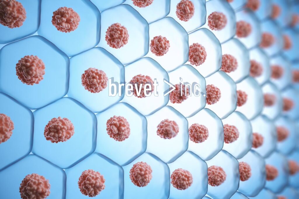 Precision Fluid Dynamics in Cell & Gene Therapy Bioreactors​